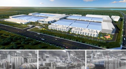 濟寧市2023年下半年綠色低碳高質量發(fā)展現(xiàn)場觀摩會 無窮食品泗水生產基地建設項目