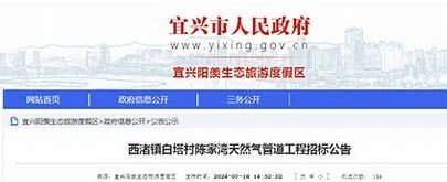 宜興西渚鎮(zhèn)網(wǎng)站建設(shè)揭秘及高塍鎮(zhèn)官網(wǎng)2025年01月焦點分析