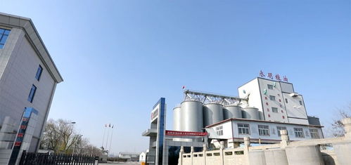 山東永明糧油擬在魯西南建設(shè)大型多功能面粉廠，助力區(qū)域農(nóng)業(yè)經(jīng)濟高質(zhì)量發(fā)展